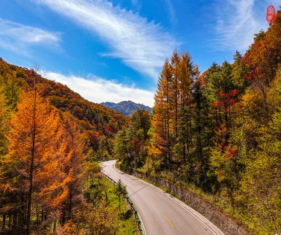天燕秋日山路与森林