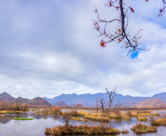 秋日山地湿地景色